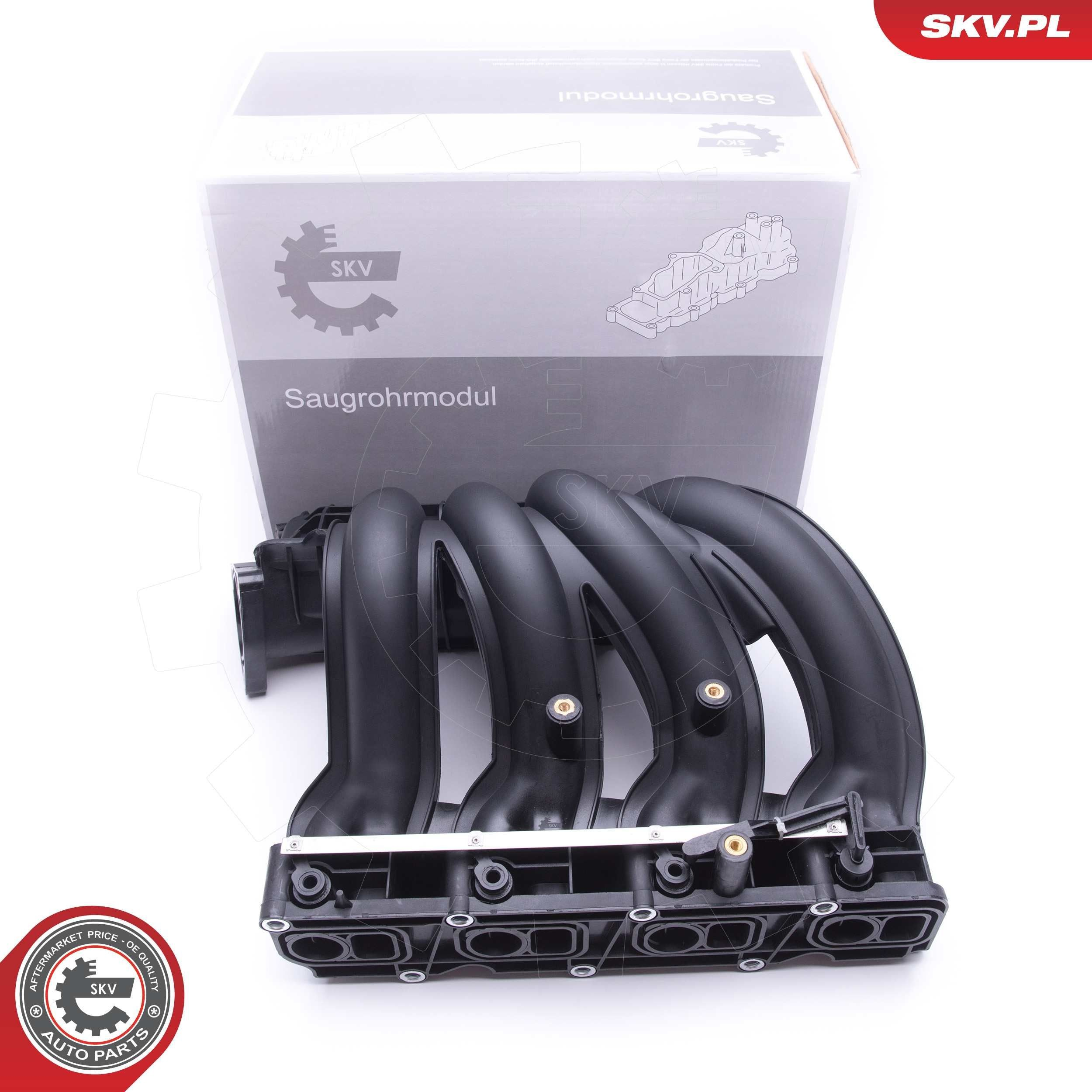 49SKV011 SKV